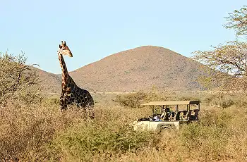 10_Day_Family_Safari_and_Cape_Town_-_18_-_Narrow_50_sharpen_scaled_350w_230h