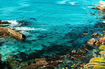 explore_-_hermanus_coastal_town1_50_sharpen_scaled_350w_230h