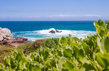 whale_watching_-_cliff_top_paths_seasonal1_50_sharpen_scaled_350w_230h